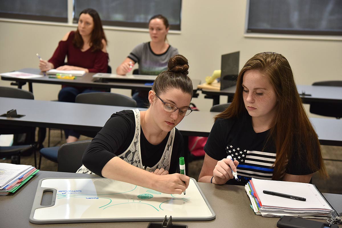 Students in Class