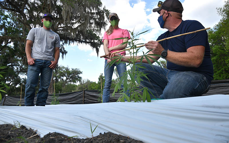 Hemp Class
