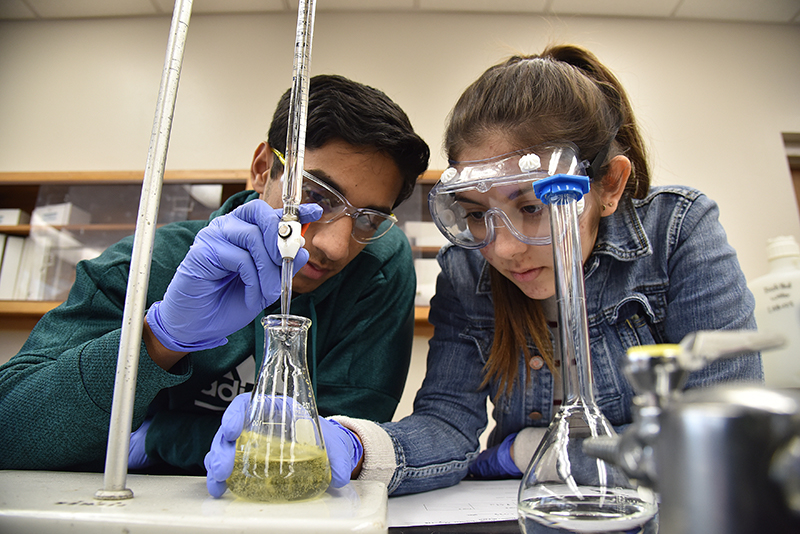 Students working in lab