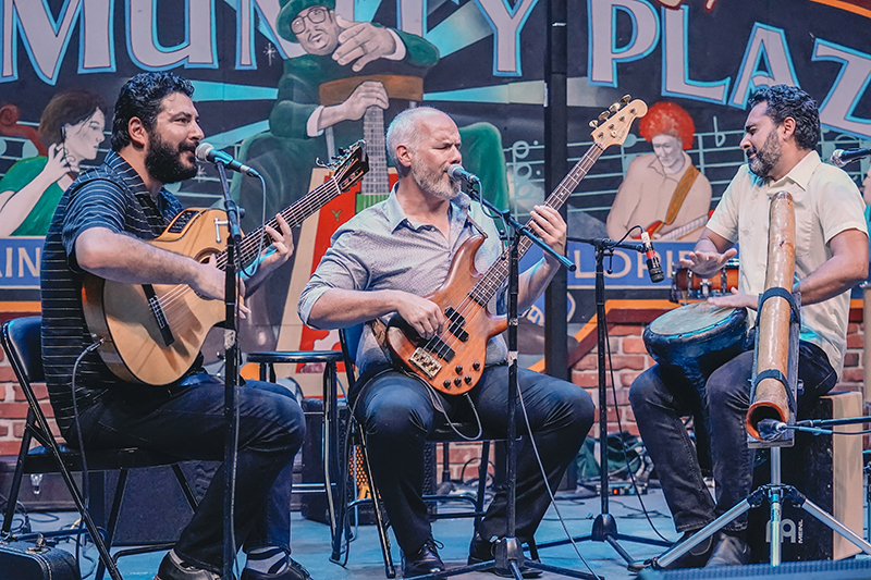 Maharajah Flamenco Trio
