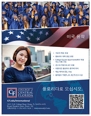 Korean Flyer