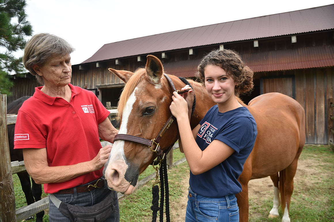 Equine Studies Outside Class