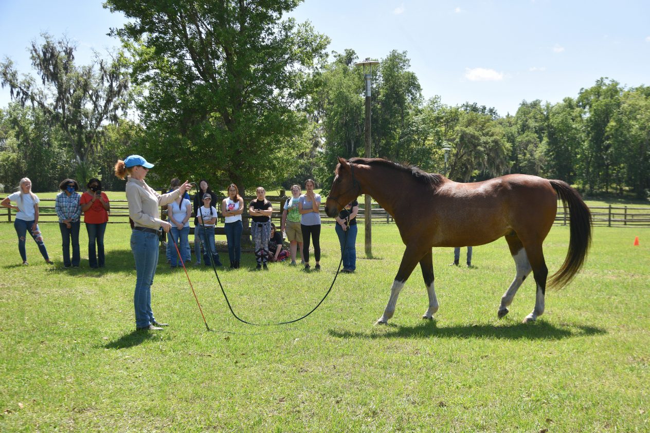 Equine Students and instructor