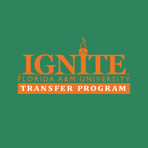 IGNITE Logo