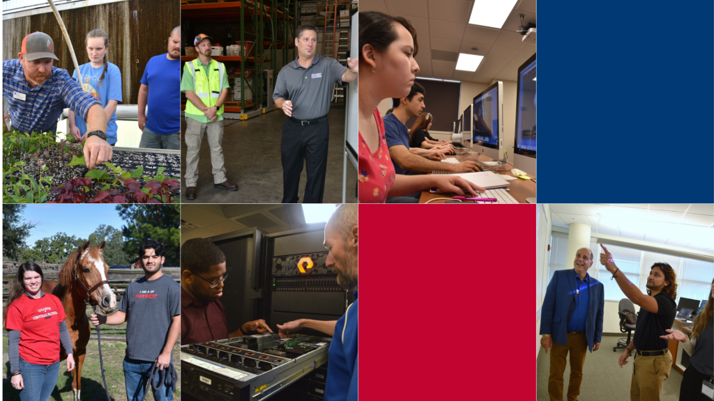 A collage of people in various working environments